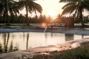 cuidado del agua en acuicultura